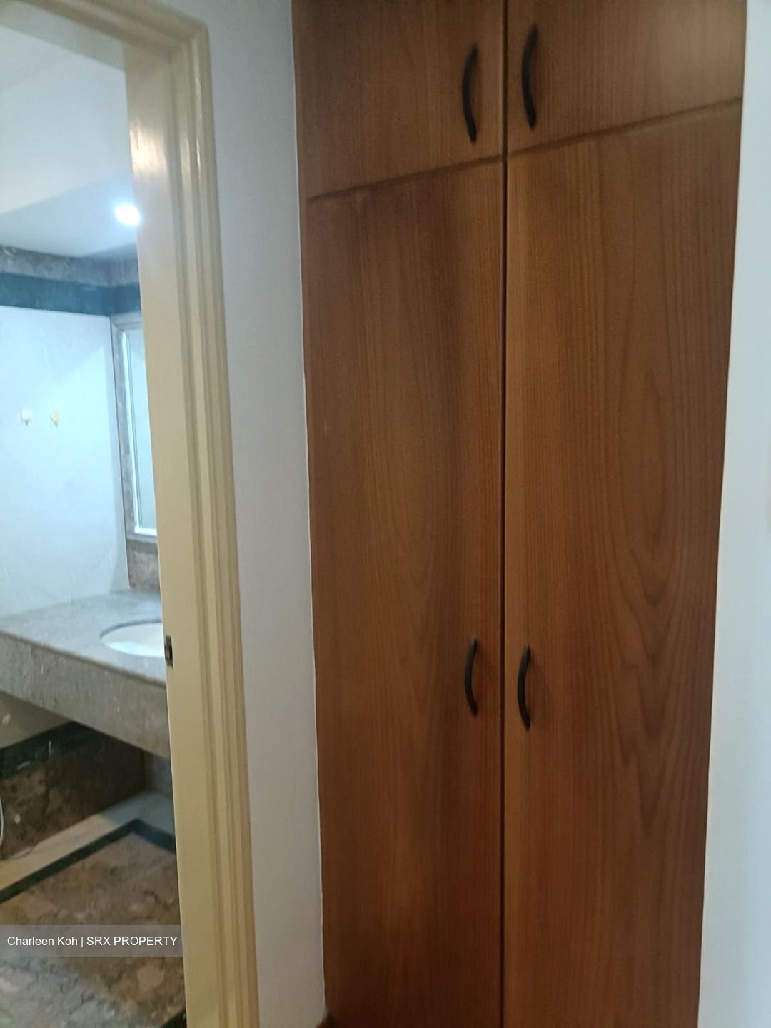 Symphony Heights (D21), Condominium #486182521